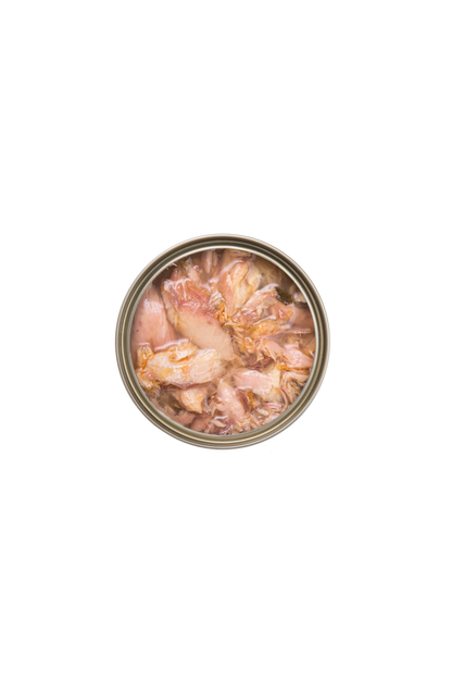 Kampa Shop – Premium 8 Pack Kakato Trial Fish Selection for Cats
