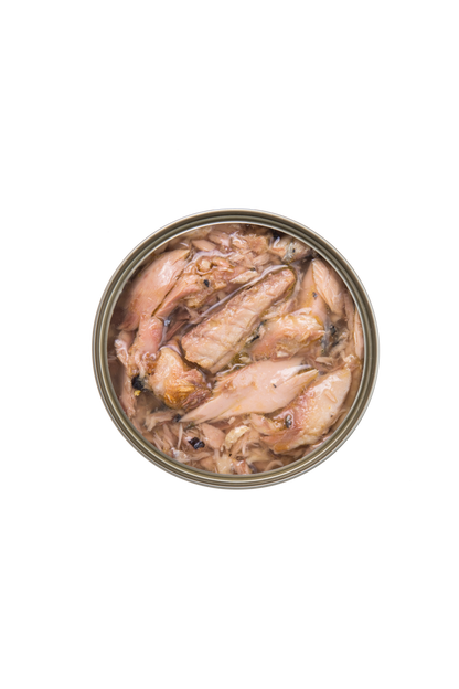 Kampa Shop – Premium 8 Pack Kakato Trial Fish Selection for Cats